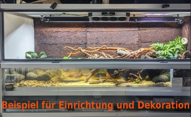 Aquaterrarium Paludarium Glasterrarium