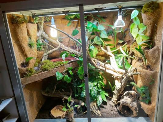 Terrarium mit Einrichtung