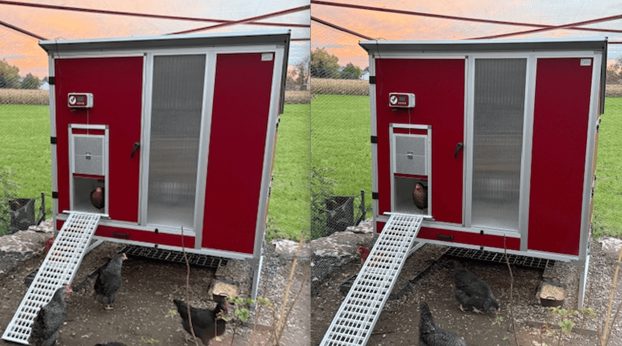 Hühnerstall APS Arosio Rot